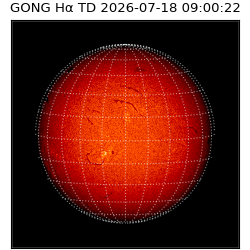 gong - 2026-07-18T09:00:22