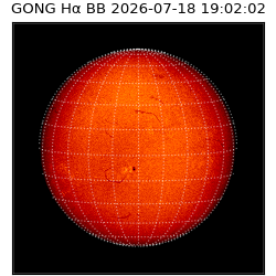 gong - 2026-07-18T19:02:02