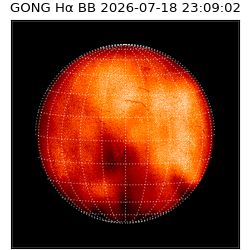 gong - 2026-07-18T23:09:02