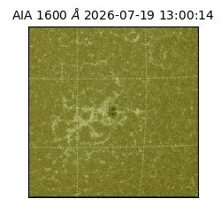 saia - 2026-07-19T13:00:14.123000