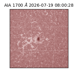 saia - 2026-07-19T08:00:28.720000
