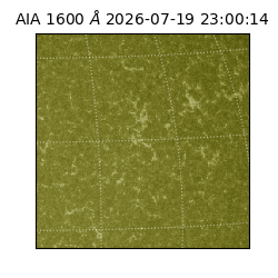 saia - 2026-07-19T23:00:14.132000