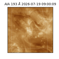 saia - 2026-07-19T09:00:09.473000