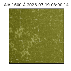 saia - 2026-07-19T08:00:14.123000