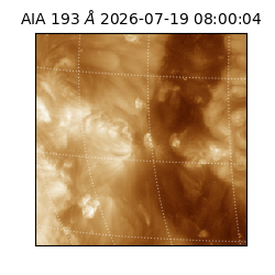 saia - 2026-07-19T08:00:04.842000