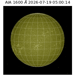 saia - 2026-07-19T05:00:14.123000