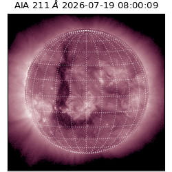 saia - 2026-07-19T08:00:09.632000