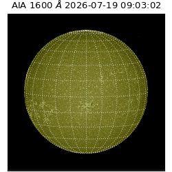 saia - 2026-07-19T09:03:02.130000