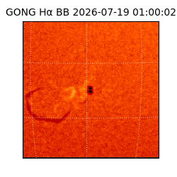 gong - 2026-07-19T01:00:02