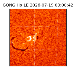 gong - 2026-07-19T03:00:42