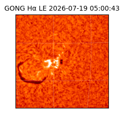 gong - 2026-07-19T05:00:43