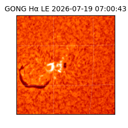 gong - 2026-07-19T07:00:43