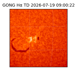 gong - 2026-07-19T09:00:22