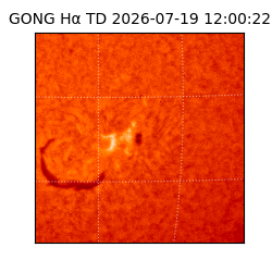gong - 2026-07-19T12:00:22