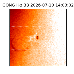 gong - 2026-07-19T14:03:02