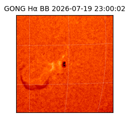 gong - 2026-07-19T23:00:02