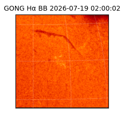 gong - 2026-07-19T02:00:02
