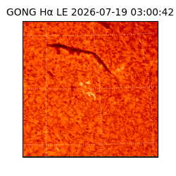 gong - 2026-07-19T03:00:42