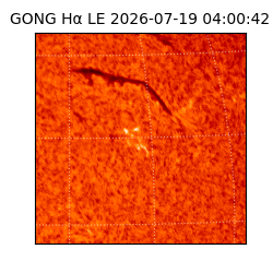 gong - 2026-07-19T04:00:42