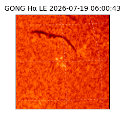 gong - 2026-07-19T06:00:43