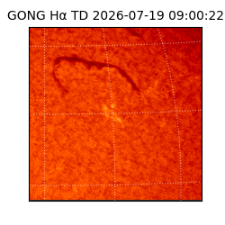 gong - 2026-07-19T09:00:22