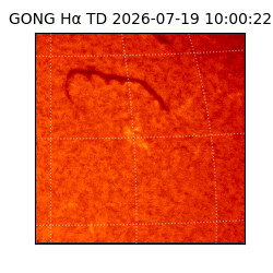 gong - 2026-07-19T10:00:22