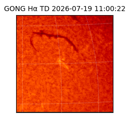 gong - 2026-07-19T11:00:22