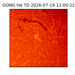 gong - 2026-07-19T12:00:22