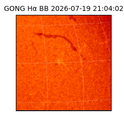 gong - 2026-07-19T21:04:02