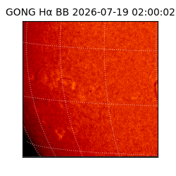 gong - 2026-07-19T02:00:02