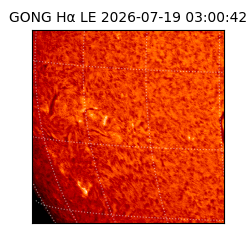 gong - 2026-07-19T03:00:42