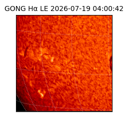 gong - 2026-07-19T04:00:42