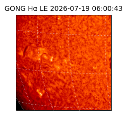 gong - 2026-07-19T06:00:43