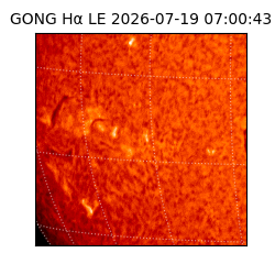 gong - 2026-07-19T07:00:43