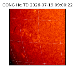 gong - 2026-07-19T09:00:22