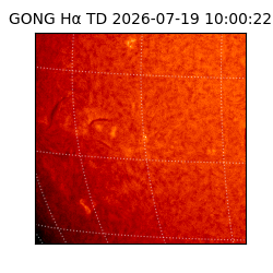 gong - 2026-07-19T10:00:22