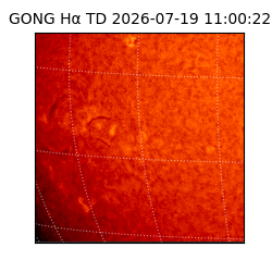 gong - 2026-07-19T11:00:22