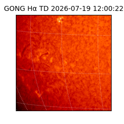 gong - 2026-07-19T12:00:22