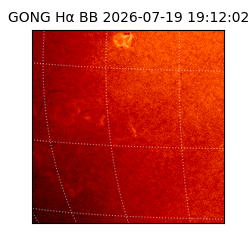 gong - 2026-07-19T19:12:02