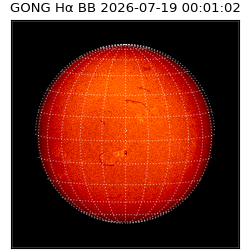 gong - 2026-07-19T00:01:02