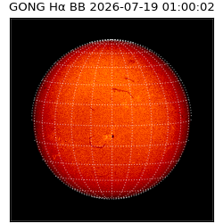 gong - 2026-07-19T01:00:02