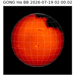 gong - 2026-07-19T02:00:02