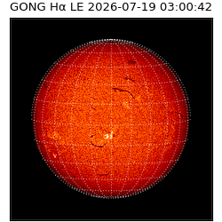 gong - 2026-07-19T03:00:42