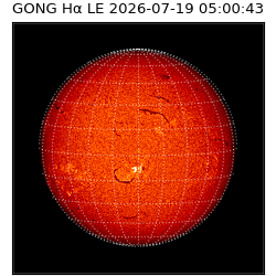gong - 2026-07-19T05:00:43