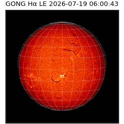 gong - 2026-07-19T06:00:43