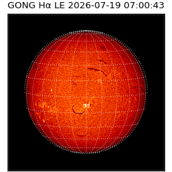 gong - 2026-07-19T07:00:43