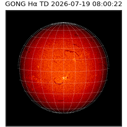 gong - 2026-07-19T08:00:22
