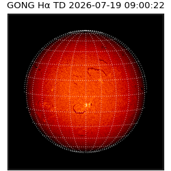 gong - 2026-07-19T09:00:22