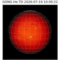 gong - 2026-07-19T10:00:22