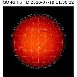 gong - 2026-07-19T11:00:22